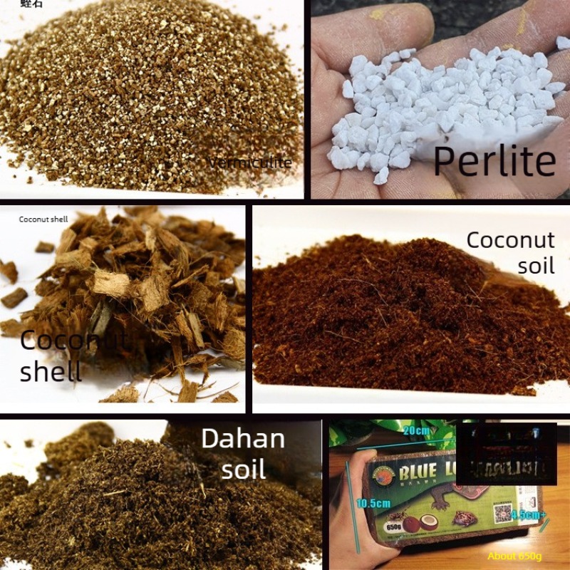 Sphagnum Moss Dry - Cegła z włókna kokosowego, podłoże dla
