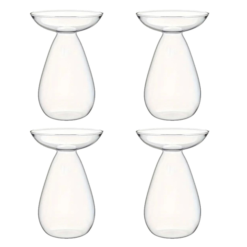 Propagation Station Vase - Wazon do rozpalania awokado przezroczysty szklany